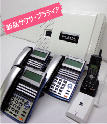 �T�N�T�@�v���e�B�A�@3�F1